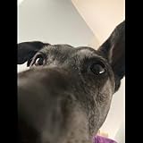 Franki Henderson Music