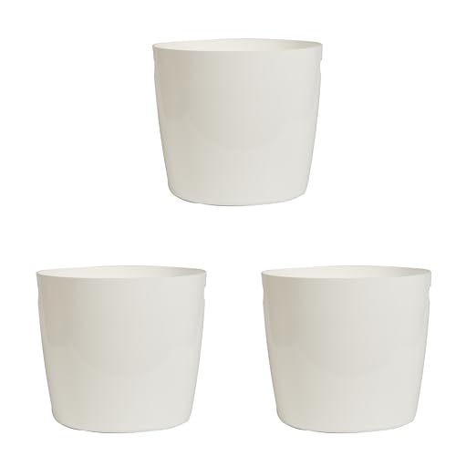 ACRNV 炩 [P[X 3Zbg { qǂ [ {bNX JS  ߑP[X  킢 zCg  qǂ G Jt Ղ dȂ RpNg t Storage case Mtg 