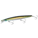 シマノ(SHIMANO) EXS サイレントアサシン AR-C 160F XM-116S #013Aボラコノシロ