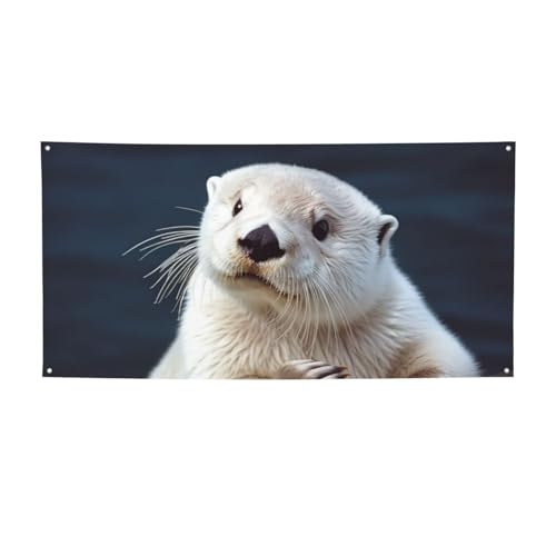 zCgJE\oi[TC O  a wi |X^[ p[eB[ fR[V pi ʐ^wi Obgt p[\iCY EH[oi[ tbO