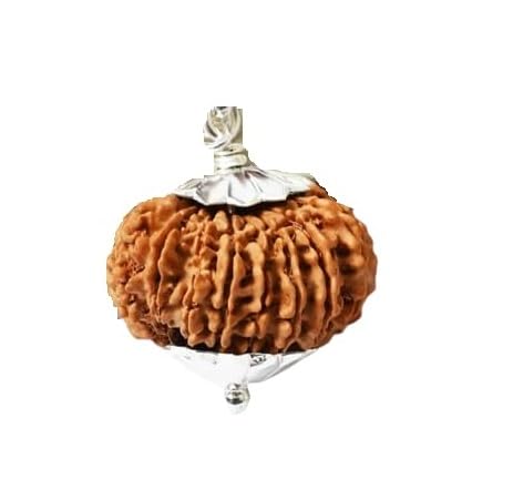 astro cart 19 Mukhi Rudraksha Original Certified Unnis Mukhi Rudraksha Prayer Bead 19 मुखी नेपाल रुद्राक्ष Oval Nine Face|Mukhi Nepal Rudraksha For Pendant-picture-38