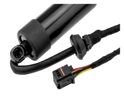 Vérins de coffre pour Ford Grand C-Max 2010-2019 - 3