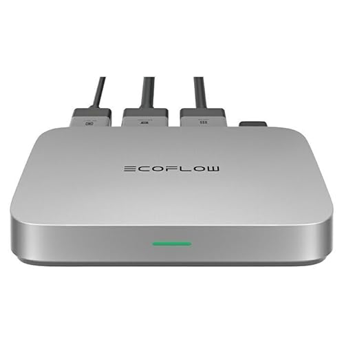 Ecoflow Micro Inverter 800 W