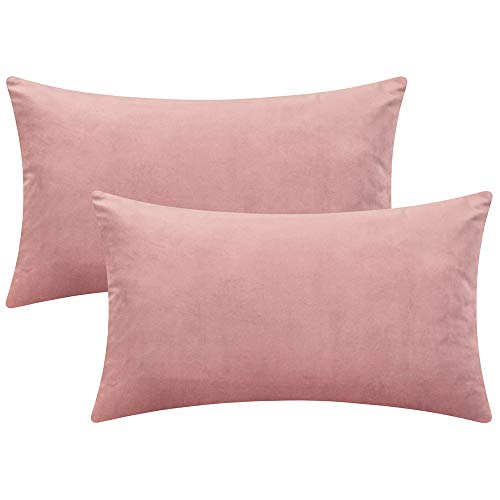 Rythome Set of 2 Comfortable Throw Pillow Cover for Bedding, Decorative Accent Cushion Sham Case for Couch Sofa, Soft Solid Velvet with Zipper Hidden - 12"x20", Mauve Pink
