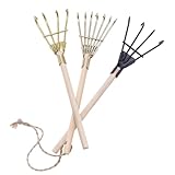 PHENOFICE 3個点 ミニ鉄製デスクトップ耙子 ガーデンクラフト用 手作り風景整備ツール 小型多目的ベランダ用