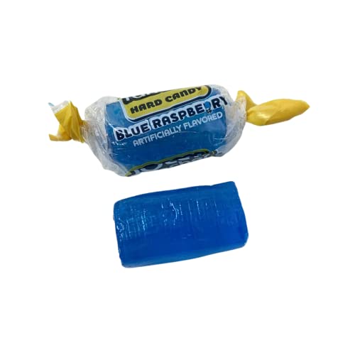Klub Bulk Jolly Ranchers Hard Candy 1.5lbs- All Blue Raspberry Individually Wrapped Delicious Fresh Candy 1.5, 24oz (Packaging Might Vary)