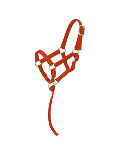 Tough 1 Miniature Nylon Halter, Red, Small Mini.