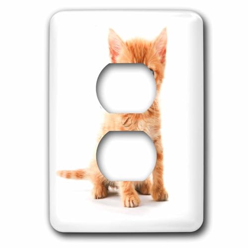 Chaton tigré orange cache-prise double déco pour interrupteur mural - 2