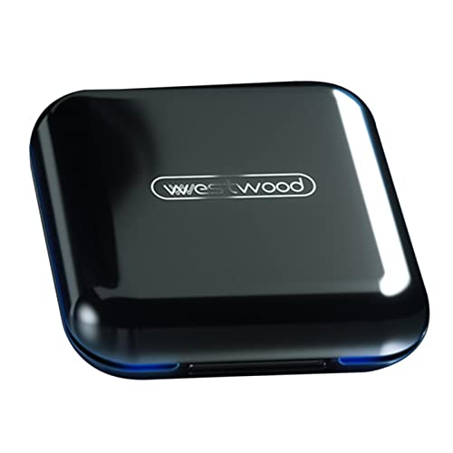 �|�[�^�u����s���{�b�N�X�P�[�X�r�^�~���R���e�i4�O���b�h�X�g���[�W�u���b�N �� 8x8x2.4 cm