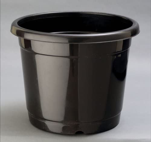 See full amazon price history chart for SANDHAYA PLASTIC Flower Pot , Black , 12 Inch , 5 Pieces , Nursery Pot Indoor , Outdoor Gardening SANDHAYA PLASTIC Flower Pot , Black , 12 Inch , 5 Pieces , Nursery Pot Indoor , Outdoor Gardening (B09P1CKPQZ) Amazon Price History, Amazon Price Tracker