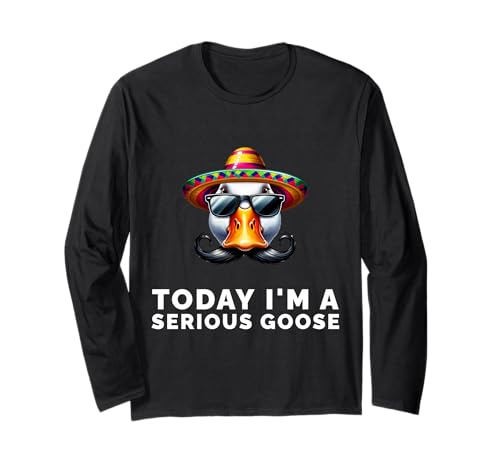 Today I�fm A Serious Goose Funny Meme Bird Humor Sarcasm ����T�V���c