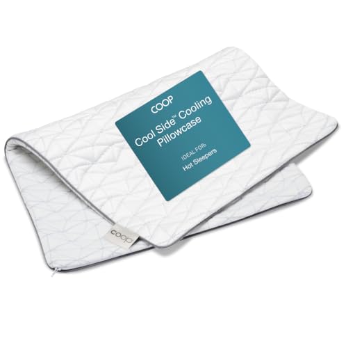 Coop Home Goods - Cooling Pillow Case for Hot Sleepers - Lulltra Cool Technology - Viscose Rayon and Jacquard - Smooth Breathable Both Sides Pillowcase Hidden Zipper (Queen)