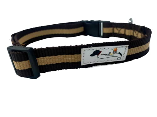 Forever99 Pet Shop Leatherette Dog Collar Neck Belt for Large Dogs Labrador and All (Tan) (B082BJFBPF) Amazon Price History, Amazon Price Tracker
