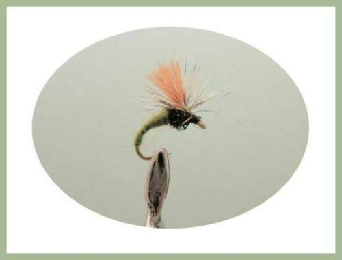 Klinkhammers Trout Flies, 6 x High Viz Olive Klinkhammers, Choice of sizes, (16)