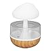 Water Drip Cloud Diffuser, Rain Cloud Humidifier Adjustable LED Light for Bedroom