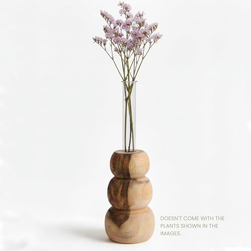 Image of Wooden Test Tube Planter Vase with Wooden Stand | Glass Tube for Indoor Plants, Cuttings & Hydroponics | Minimalist Bud Vase | Modern Flower Stand | Unique Home Office Decor Gift.(3 Steps Designe)