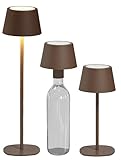 Northpoint 3in1 LED Tischlampe Flaschenleuchte max. 45cm hoch mit 3000mAh Akku 200lm warmweißes Licht (3000K) stufenlos dimmbar für Innen und Außen (taupe)