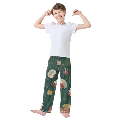 ZZXXB Xmas Hedgehog Tree Boys Long Pants Soft Trousers Elastic Waist Kids Lounge Bottoms with Pockets S-XL3