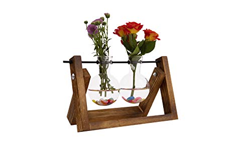 Desktop Plant Terrarium Glass Planter Bulb Vase with Retro Solid Wooden Stand and Metal Swivel Holder for Hydroponics Plants (2 Bulb Planter)