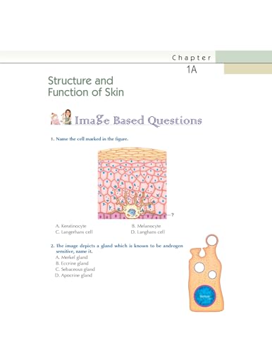 Image of Case Based MCQs in Dermatology for NEET PG and Certificate Board Examinations (PB 2026)