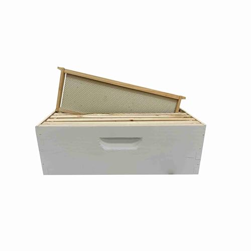 Caja de miel mediana Harvest Lane con cuadros y base miniatura 3