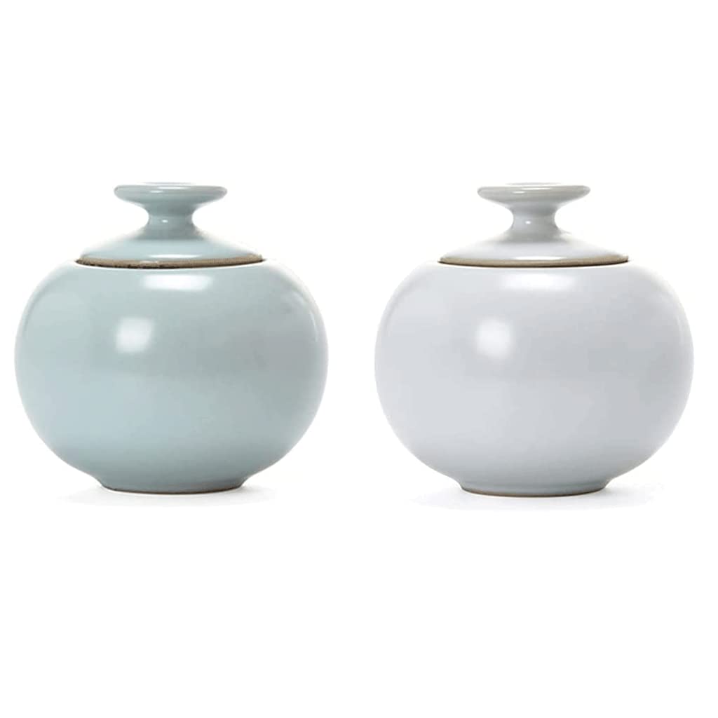 Cucina in Ceramica Contenitore per Alimenti Set da Due Pezzi Barattolo per Alimenti con Coperchio Contenitore per tè, caffè, Zucchero