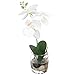 MyGift 12-Inch Synthetic White Silk Artificial Phalaenopsis Orchid in Glass Vase
