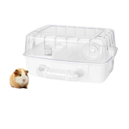 Zebeer̗z̐nInX^[P[WAʋC pCvZbgtApŊJ\ȉALX̎P[WI18