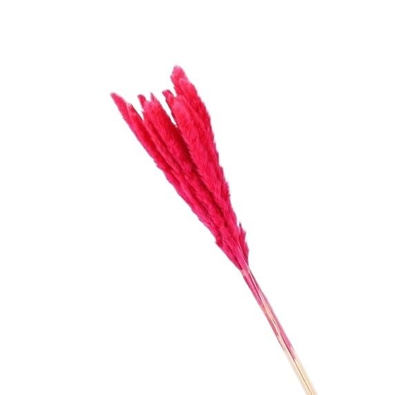 Pampas Grass Large 15/30pcs Artificial Pampas Grass Plumes miniatura 1