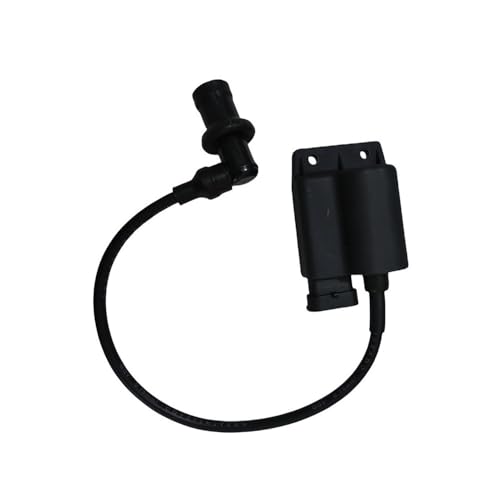 Bobine d'allumage Haute Tension BZ100 entretien jardin et motoculture