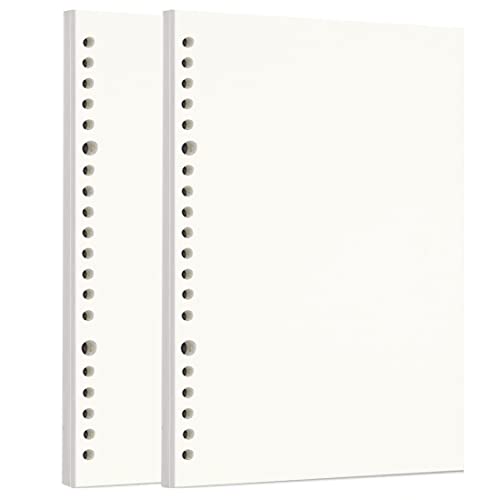 Image of Zelten Loose Leaf Punched Paper Refills Paper for 6 Hole Binder Personal Organizer Diary Notebook Refillable Planner (Sketch,A5 /20 Hole)