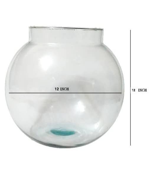 Image of CAS 13+L Glass Fish Bowl | Weather and Rust Resistant (Pack of 1) 12 inches