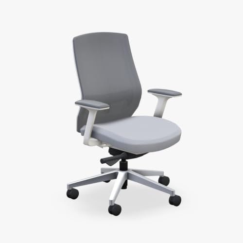 Image of UPLIFT DESK Envoke Ergonomic Office Chair - Adjustable Lumbar Support, Mesh Back, Synchro-Tilt Recline Home Office Desk Chairs with 3-Way Arms, 300 lb Capacity (Fog)