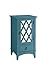ACME Furniture Acme 97380 Ceara Floor Cabinet, Teal, One Size