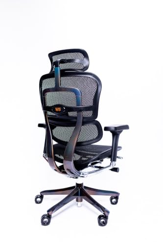 Image of Ergohuman ME7ERG GEN2 High Back Mesh Office Chair with Tilt Tension Control, Tilt Lock, Synchro Tilt, Seat Height, Seat Depth, and Arm Height Adjustments, Gold Violet Metallic Frame