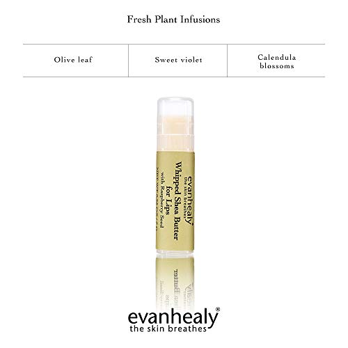 Evanhealy Whipped Shea Butter For Lips | Organic Red Raspberry Seed Oil, Beeswax, & Argan Oil | Moisturizing Lip Balm (3 Pack) #TOP3