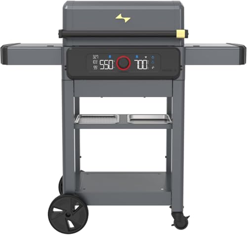 Current Model G Dual Zone Grill