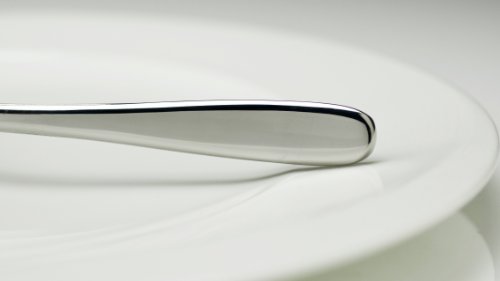 Fortessa Grand City 18/10 Stainless Steel Flatware Marrow Spoon, Set of 12