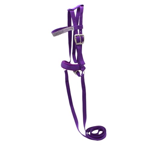 PFIFF 103126 Trensenzaum „Lotty“ für Spiel- & Holzpferde, Spieltrense, Trense für Spielpferd, Einheitsgröße, Lila