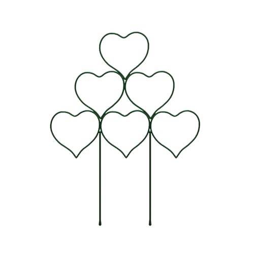 Uqezagpa Display Support Herz Kletterhilfe Grün