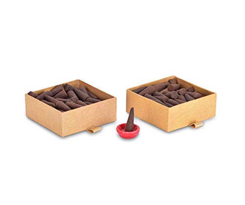 PHOOL LUXURY INCENSE Cones, Aromatherapy Pack 80 Organic Dhoop for Aromatherapy Tea Tree and Lemongrass+2 Free Ceramic Holder, Dhoopbatti,Sulphur & Charcoal Free,100% Organic (500 GMS)