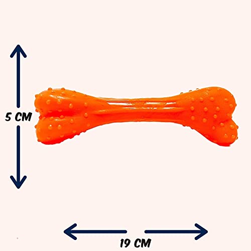 Image of Squeaky, Chew Teether Toys for Dog /Puppy - Flavoured Bone + Plastic Handle Ball + Squeaky Hen Big + Rainbow Ball (S) + Brown Base Ball - Pack of- 5 I Get One Chew Bone Free I (Combo-A)