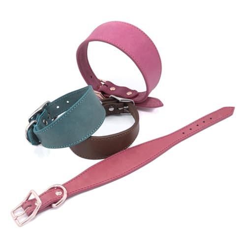 Navna Breit gepolstertes Hundehalsband, echtes Leder, Welpenhalsband für Lurcher, italienische Windhunde, bequemes Haustierzubehör, Whippets, Halsband, Lurcher, Windhunde