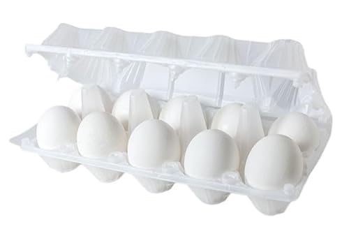 ys꒼szʎq@{iMjijY@10y①z