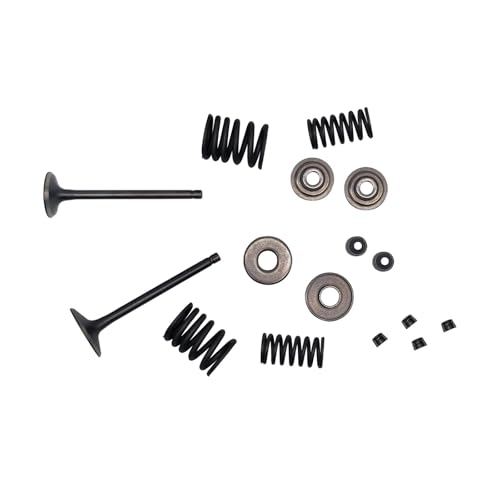 Kit de reconstruction de culasse et joints haut moteur LH260 22605 22606