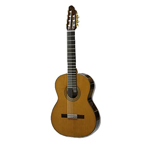 ASTURIAS 7-STRING 7 NVbNM^[