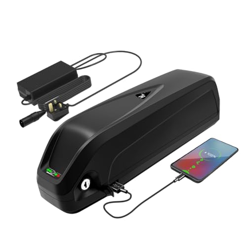 R TEAM Ebike Battery 48v 13AH with Charger USB Port Lithium Electric Bike Battery for 17A-30A Controller motor