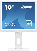 IIYAMA B1980D-W1