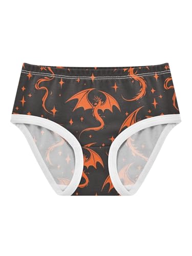 ZZKKO Silhouette Flying Fire Dragon Star Girls Underwear Toddler Panties for Girls Comfort Brief Size 2-8T