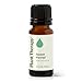 Plant Therapy Fennel (Sweet) Essential Oil 10 mL (1/3 oz) 100% Pure, Undiluted, Therapeutic Grade